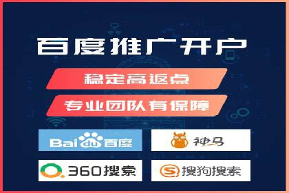 SEO百度推广策略：成功案例解析